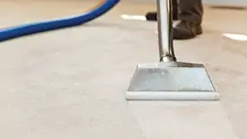 Carpet cleaning wand head gliding over a light carpet during hot-water extraction, Syracuse, NY.
