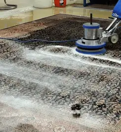 Professional rug cleaning with a rotary floor machine and shampoo foam, deep-cleaning an area rug Syracuse, NY.